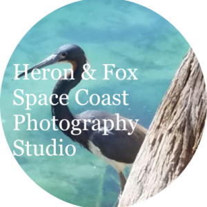 Heron&Fox Photo